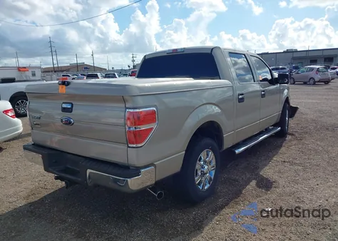 2010 Ford F-150 Fx2 Sport/Xl/Xlt z USA, uszkodzony, nr VIN 1FTEW1C82AFD13156